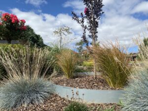 MK Gardens Ballarat landscape designer
